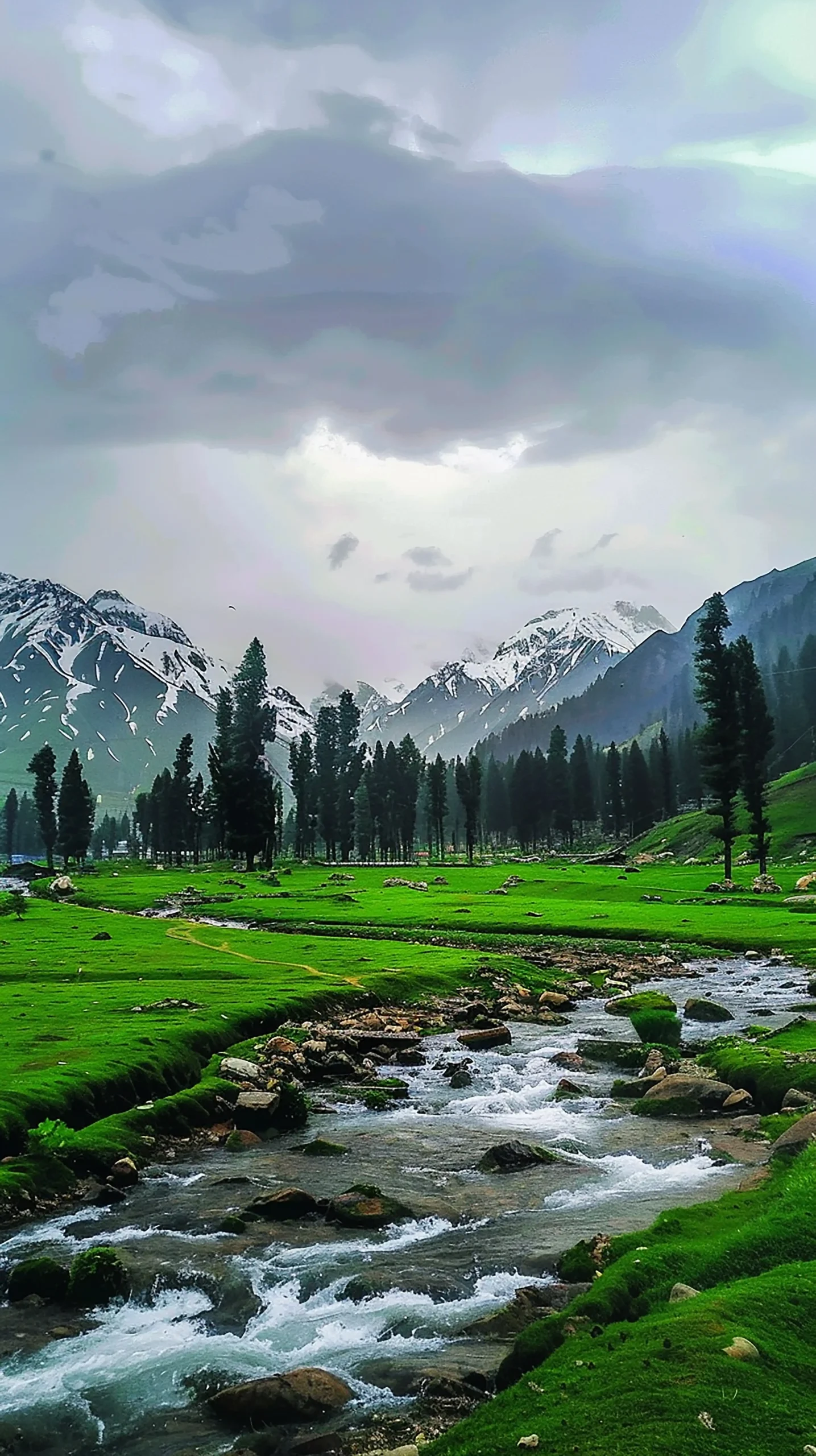 Kashmir